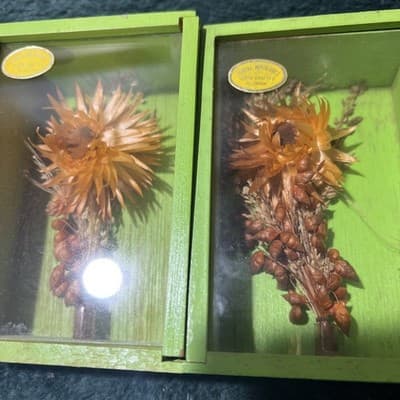 Two Modern Decorative Boxes Containing Dried Orange Flowers and Seed Pods. New - Thumbnail 6