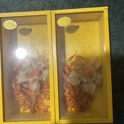 VNTG MCM 1970s Framed Shadow Box Dried Flowers Wood Frame Wall Decor. Japanese. - Thumbnail 2