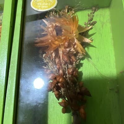 Two Modern Decorative Boxes Containing Dried Orange Flowers and Seed Pods. New - Thumbnail 4