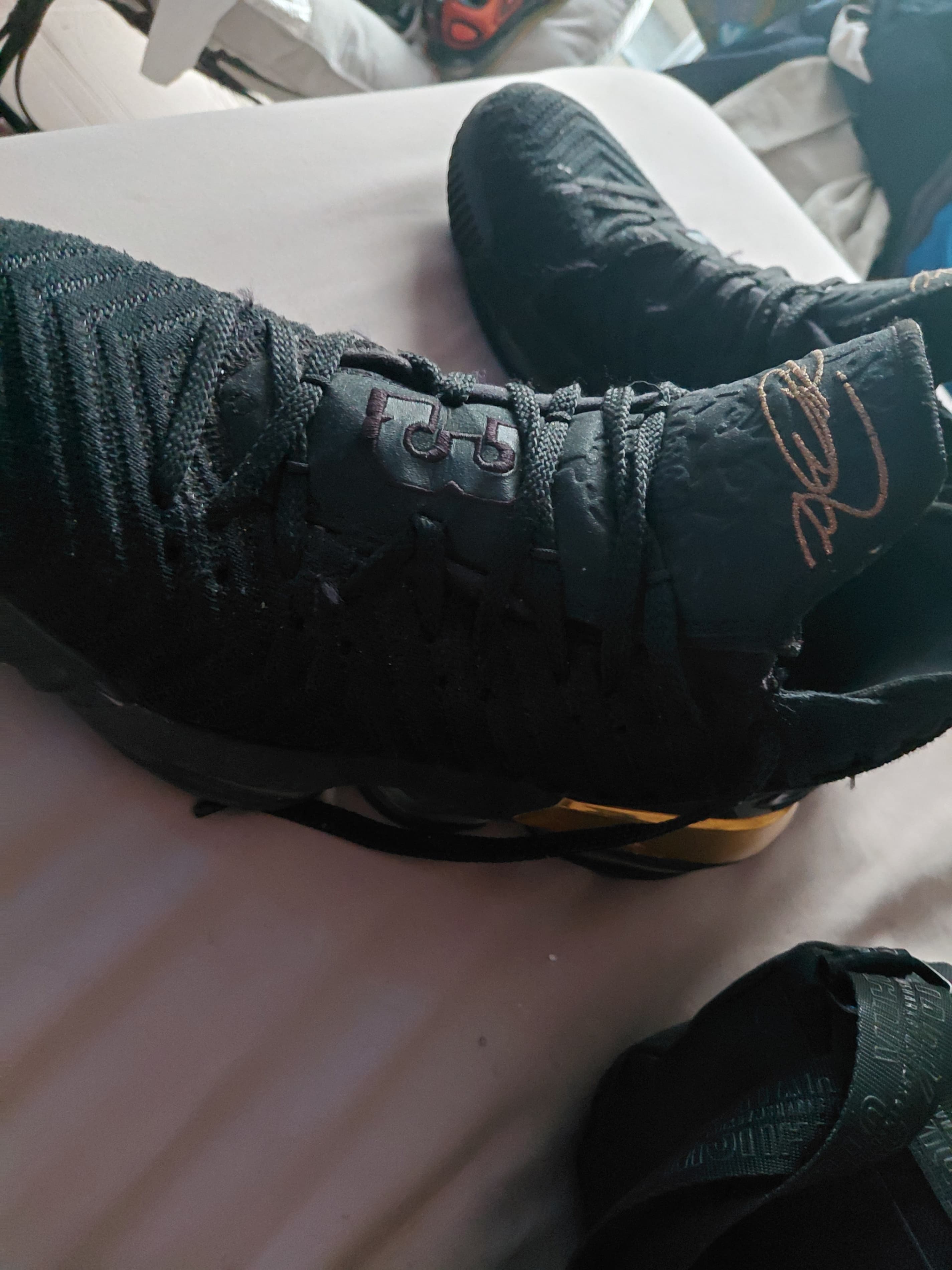 Lebron james shoes