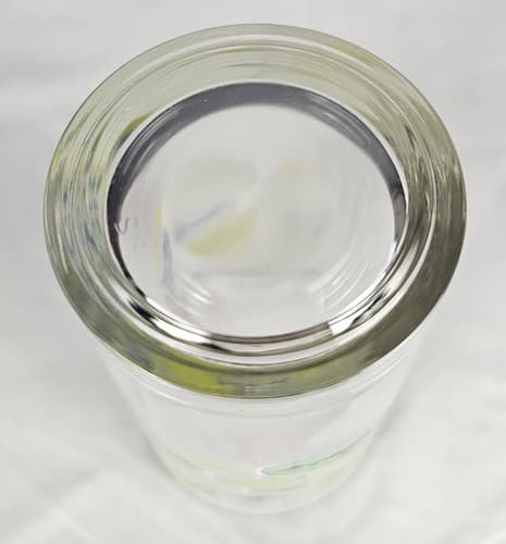 Dogfish Head 16oz Pint Glass 5.75" Tall Barware Beer Ale Multiple Available - Thumbnail 6