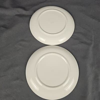 Joni Dixie Dogwood Blossom 6.5" Plates Bread Dessert Set of 2 Vintage MCM USA - Thumbnail 2