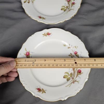 Briar Rose 7.5" Salad Plate Eschenbach Barvaria Germany Set of 2 - Thumbnail 3