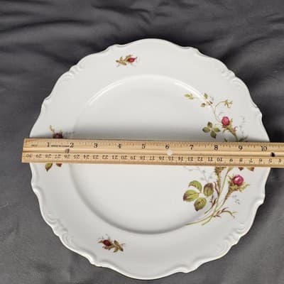 Briar Rose 10.25 Dinner Plate Eschenbach Barvaria Germany - Thumbnail 2