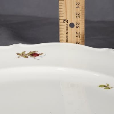 Briar Rose 10.25 Dinner Plate Eschenbach Barvaria Germany - Thumbnail 3