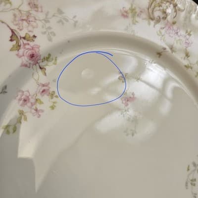 2 Antique Theodore Haviland Limoges Pink Roses Flower Plate 10" - France - Thumbnail 7