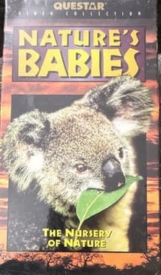 Questar Nature's Babies VHS Box Set 2-Tape NTSC NR Nature Animals Documentary