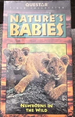 Questar Nature's Babies VHS Box Set 2-Tape NTSC NR Nature Animals Documentary - Thumbnail 3