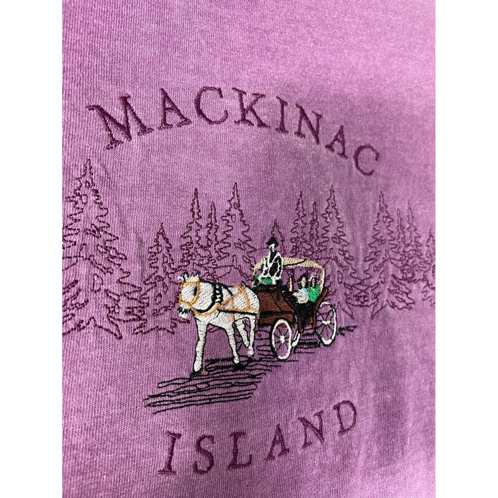 Mackinac Island Horse Carriage Embroidered Graphic Tee Purple Medium Souvenir - Thumbnail 8