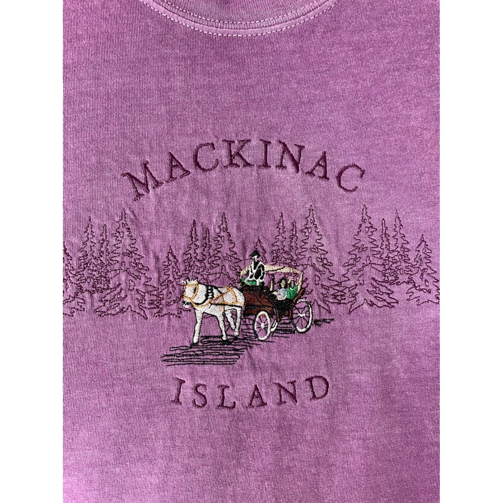 Mackinac Island Horse Carriage Embroidered Graphic Tee Purple Medium Souvenir - Thumbnail 7