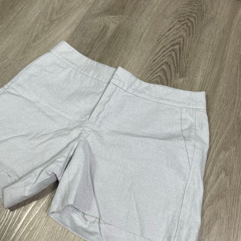 Banana Republic Womens Shorts Size 4 Gray Metallic Linen Blend Casual Summer - Thumbnail 8