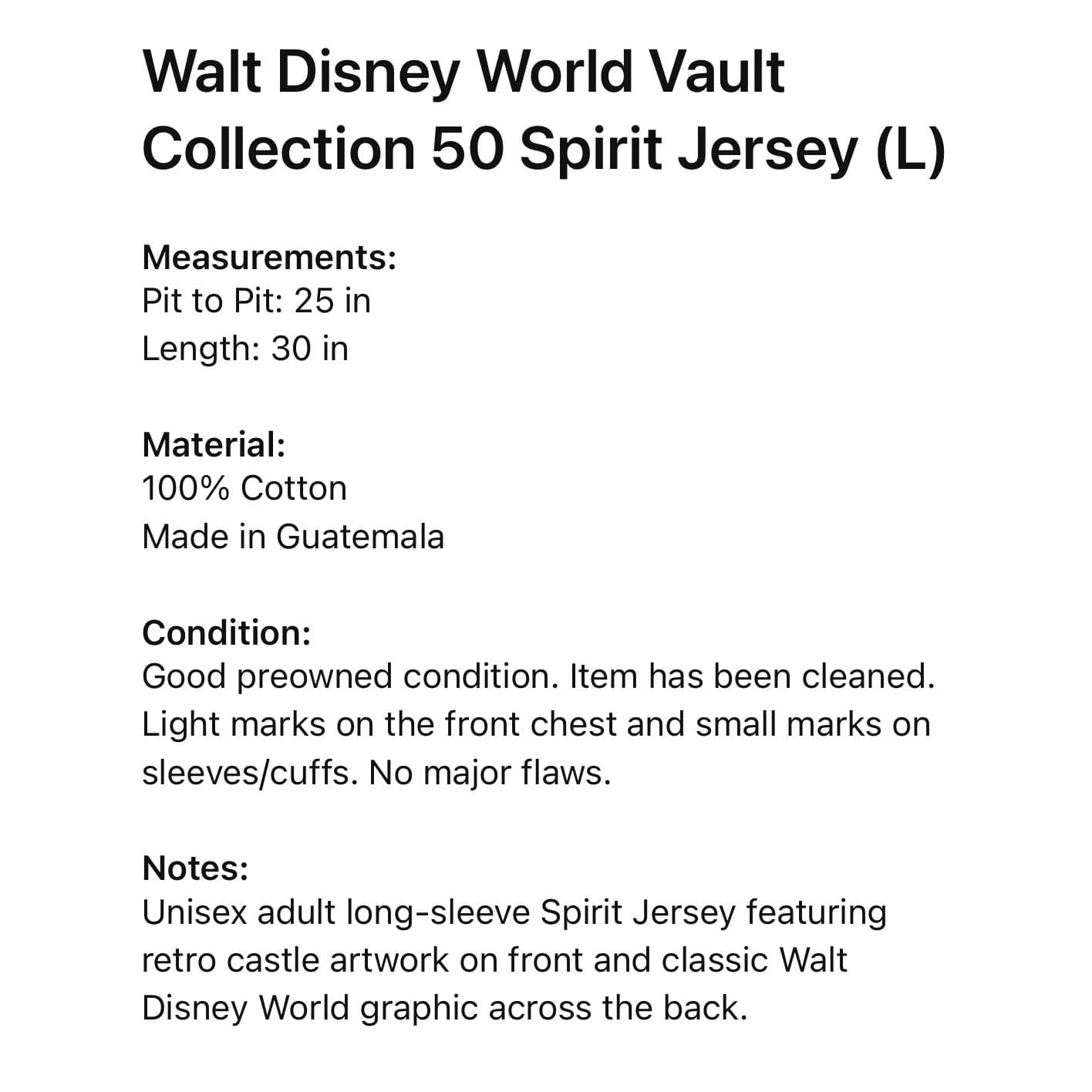 Disney Vault Collection Spirit Jersey Castle Graphic Retro WDW Adult L Top - Thumbnail 2