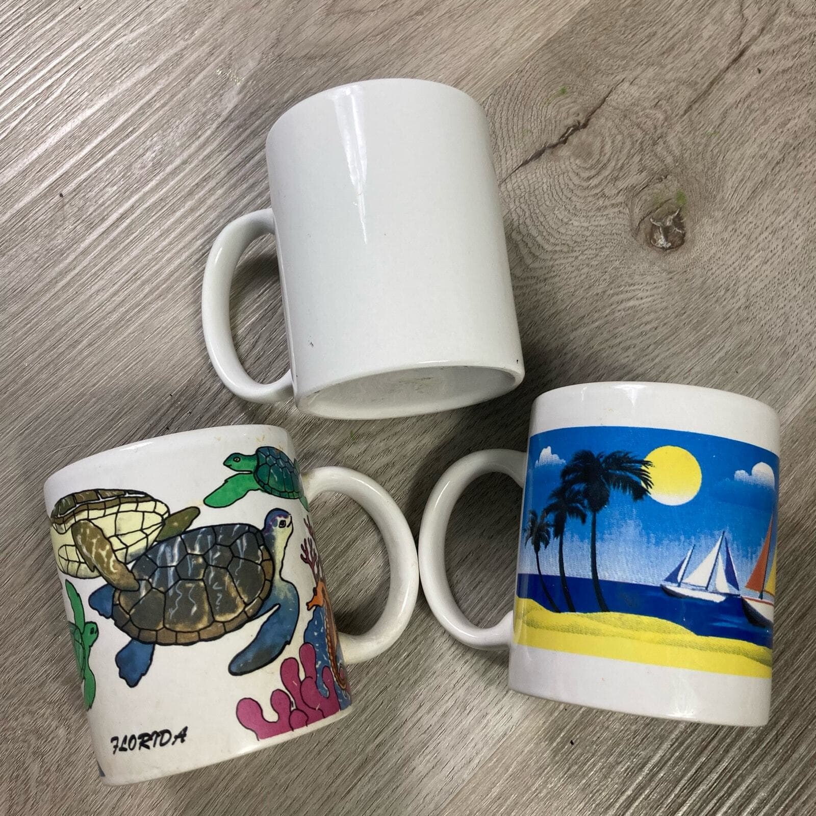 Set of 3 Vintage Florida Souvenir Coffee Tea Mugs Croc, Turtles, Sailboats 90s - Thumbnail 5