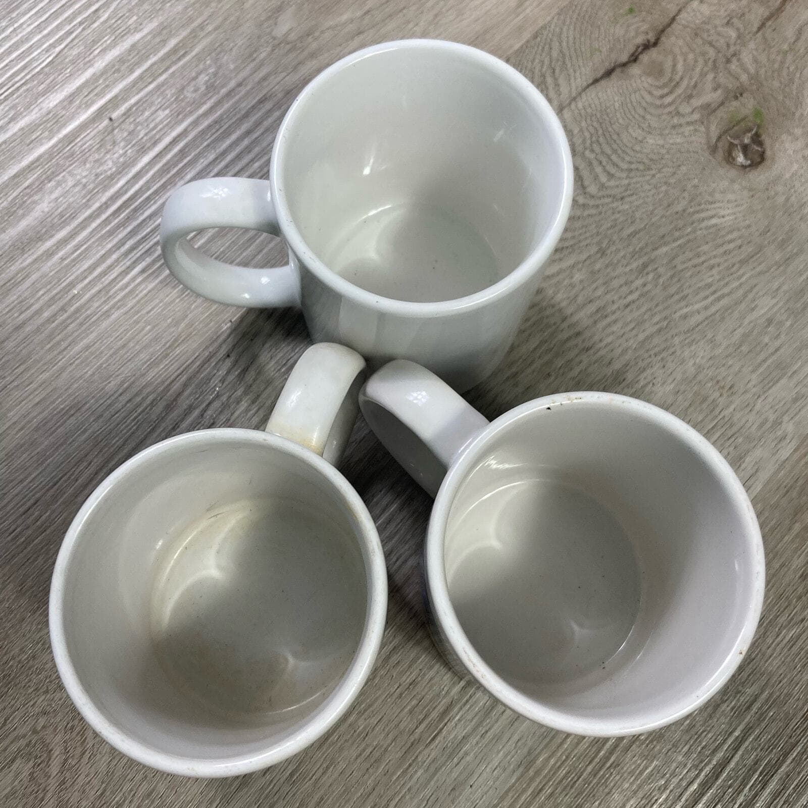 Set of 3 Vintage Florida Souvenir Coffee Tea Mugs Croc, Turtles, Sailboats 90s - Thumbnail 4