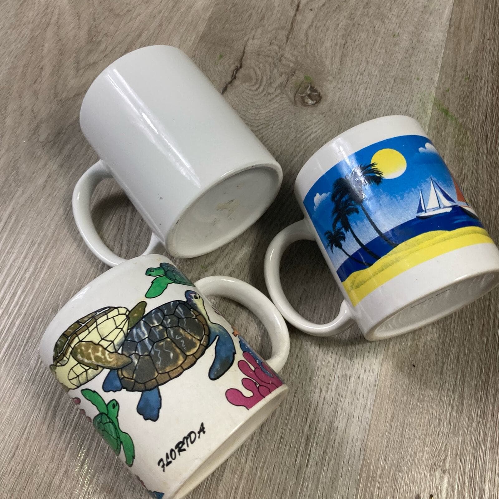 Set of 3 Vintage Florida Souvenir Coffee Tea Mugs Croc, Turtles, Sailboats 90s - Thumbnail 2