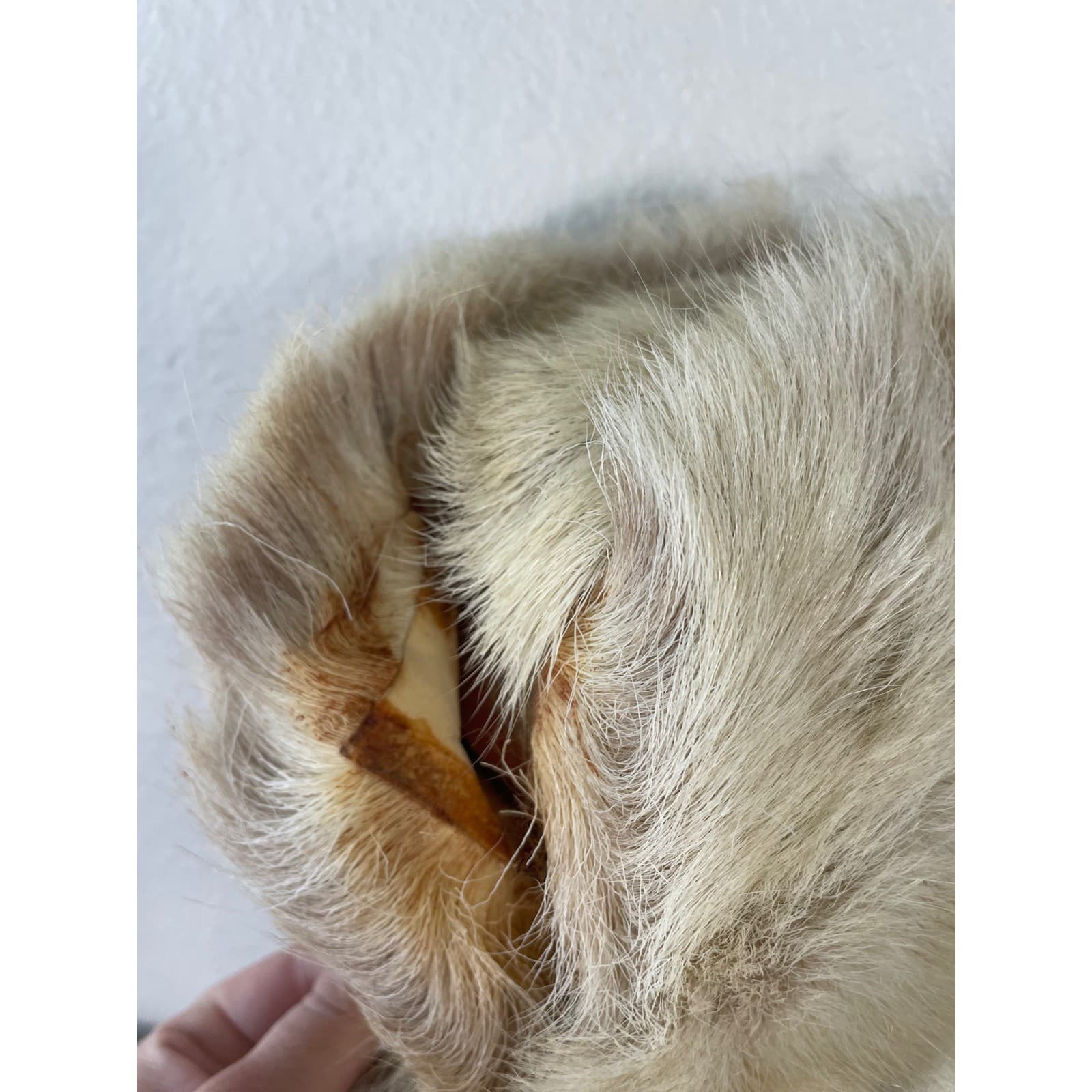 Vintage Sami Arctic Doll 15 Inuit Alaska Fur Outfit Native Souvenir Figure - Thumbnail 8