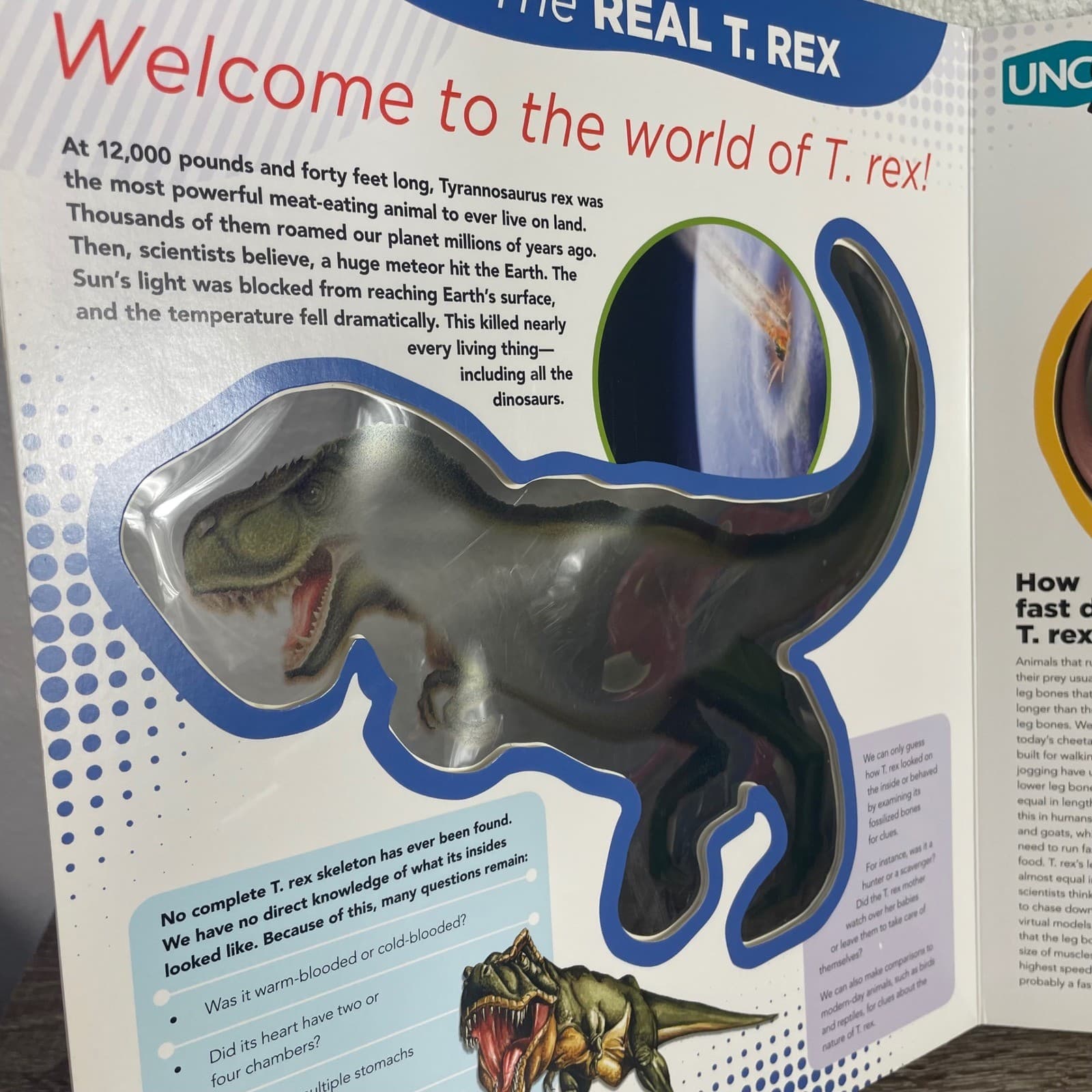Silver Dolphin Uncover A T.Rex 3D Anatomy Interactive Dinosaur Book 2021 STEM - Thumbnail 7