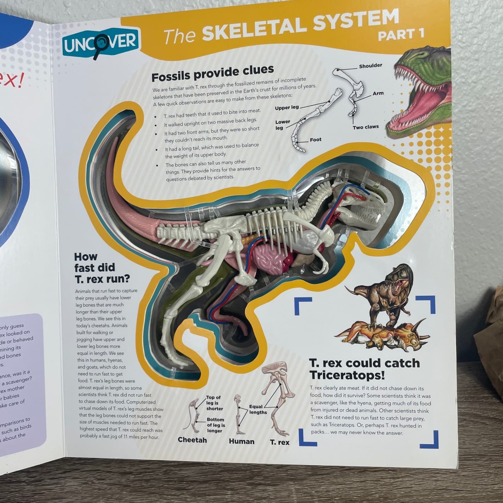 Silver Dolphin Uncover A T.Rex 3D Anatomy Interactive Dinosaur Book 2021 STEM - Thumbnail 6