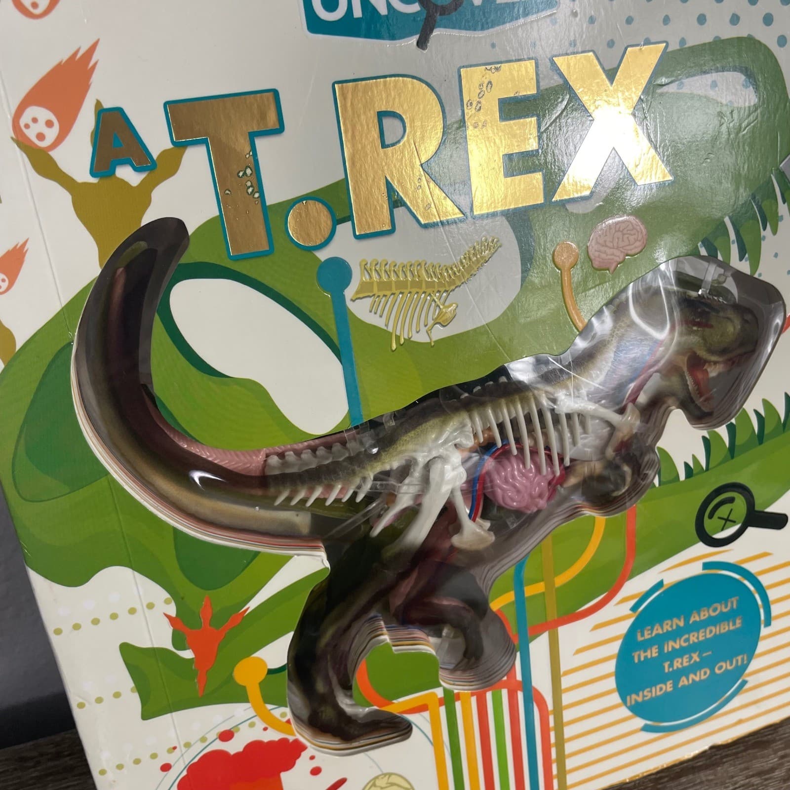 Silver Dolphin Uncover A T.Rex 3D Anatomy Interactive Dinosaur Book 2021 STEM - Thumbnail 4