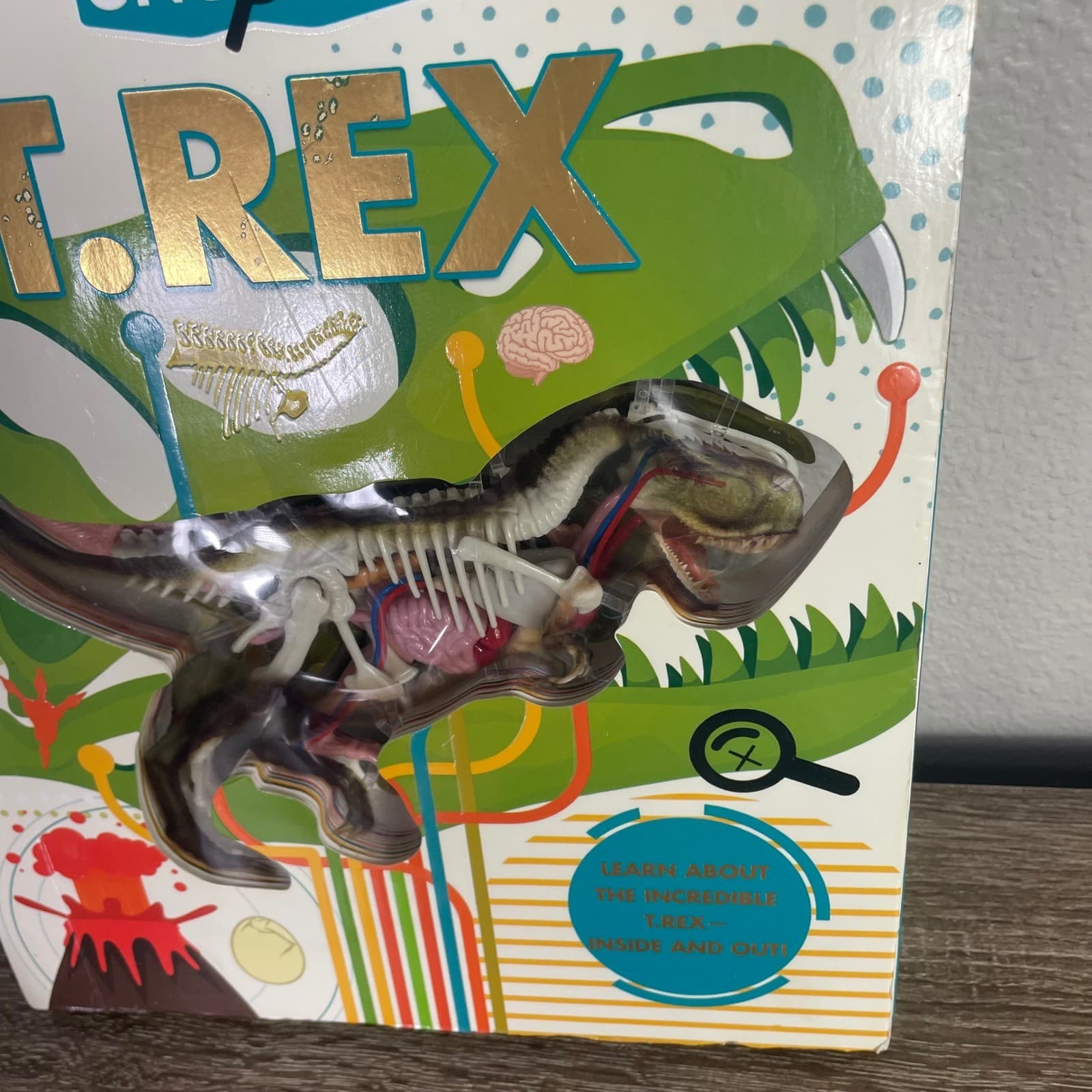 Silver Dolphin Uncover A T.Rex 3D Anatomy Interactive Dinosaur Book 2021 STEM - Thumbnail 3