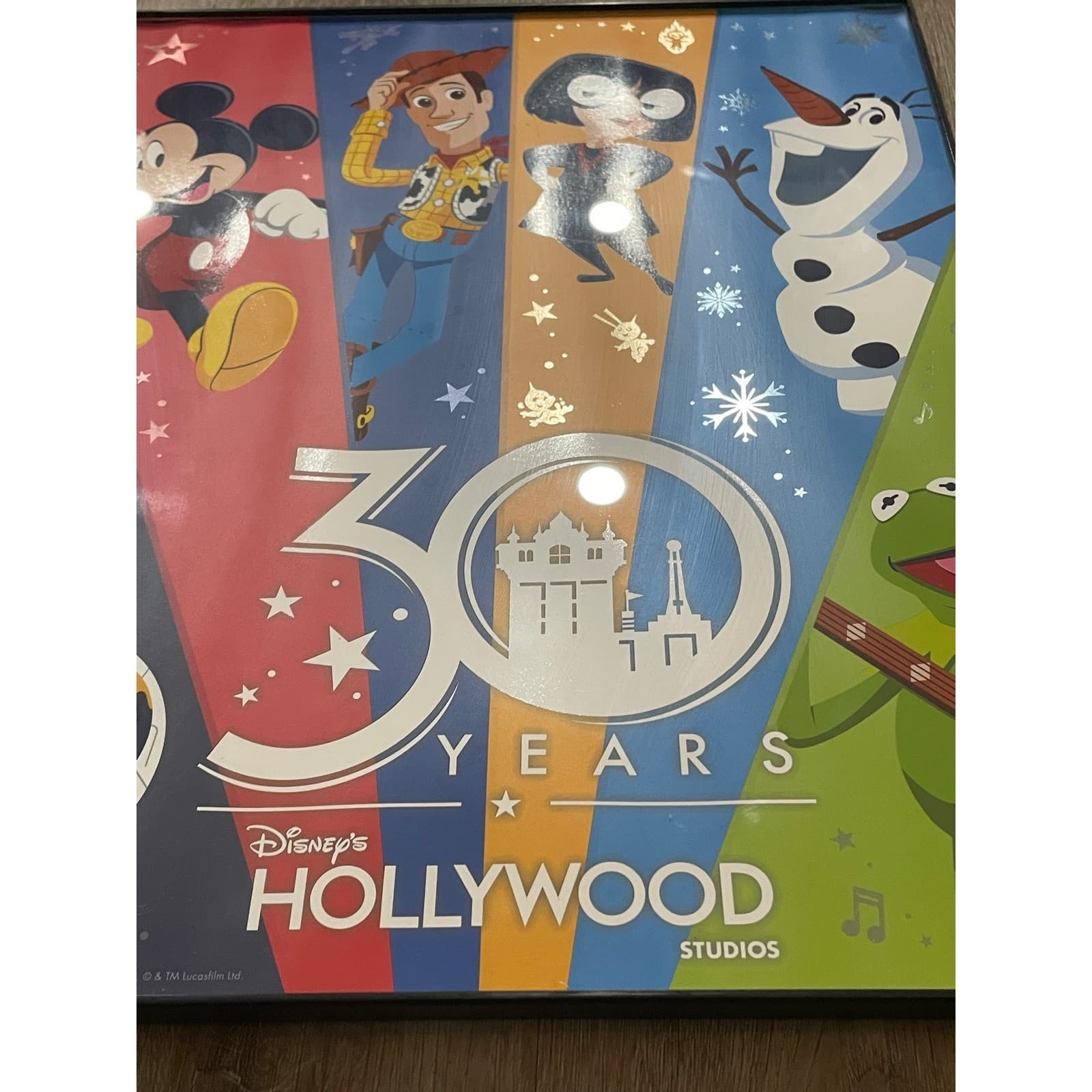 Disney Hollywood Studios 30th Anniversary Framed Poster Art Woody Kermit BB8 - Thumbnail 5