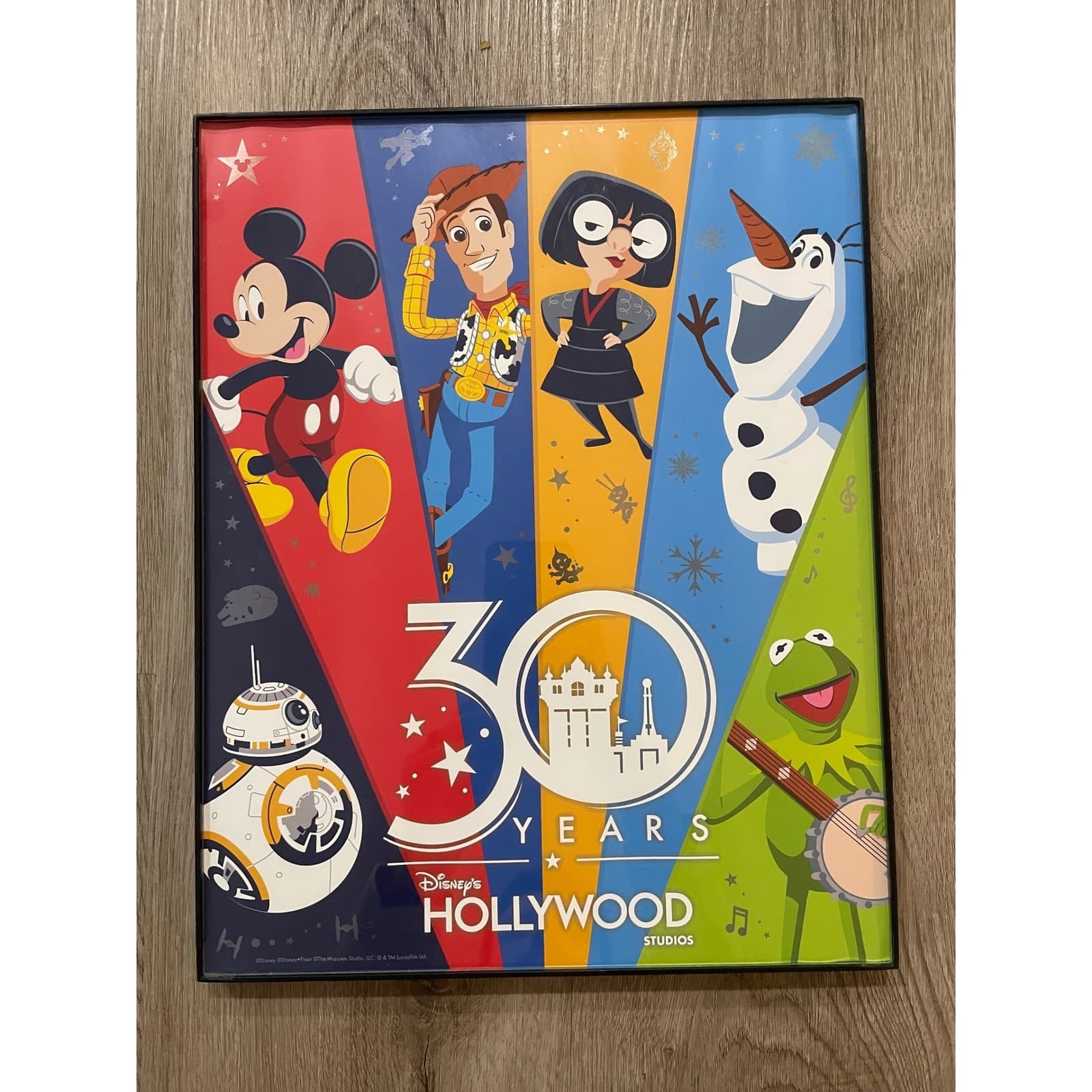 Disney Hollywood Studios 30th Anniversary Framed Poster Art Woody Kermit BB8 - Thumbnail 3