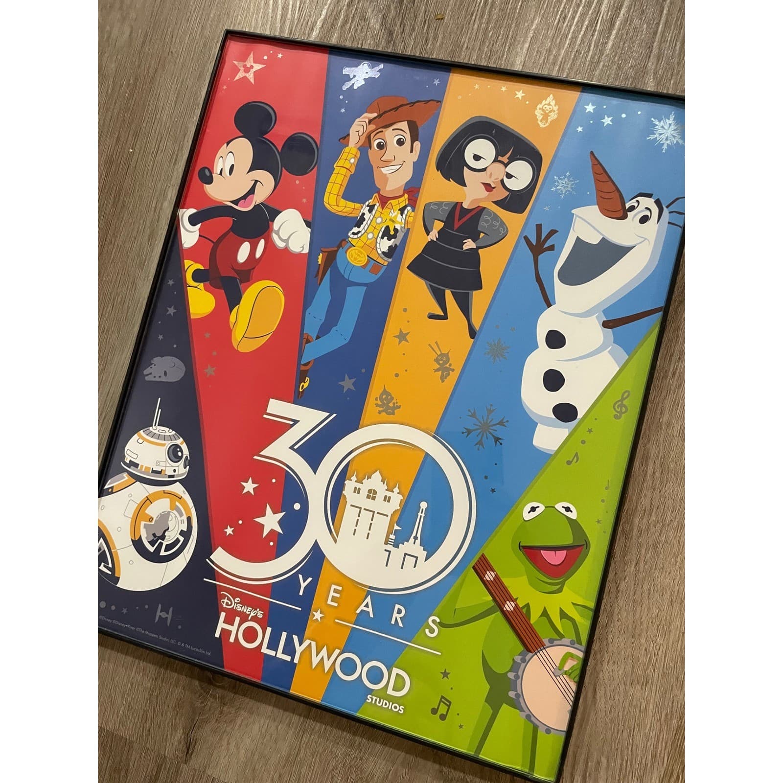 Disney Hollywood Studios 30th Anniversary Framed Poster Art Woody Kermit BB8 - Thumbnail 6