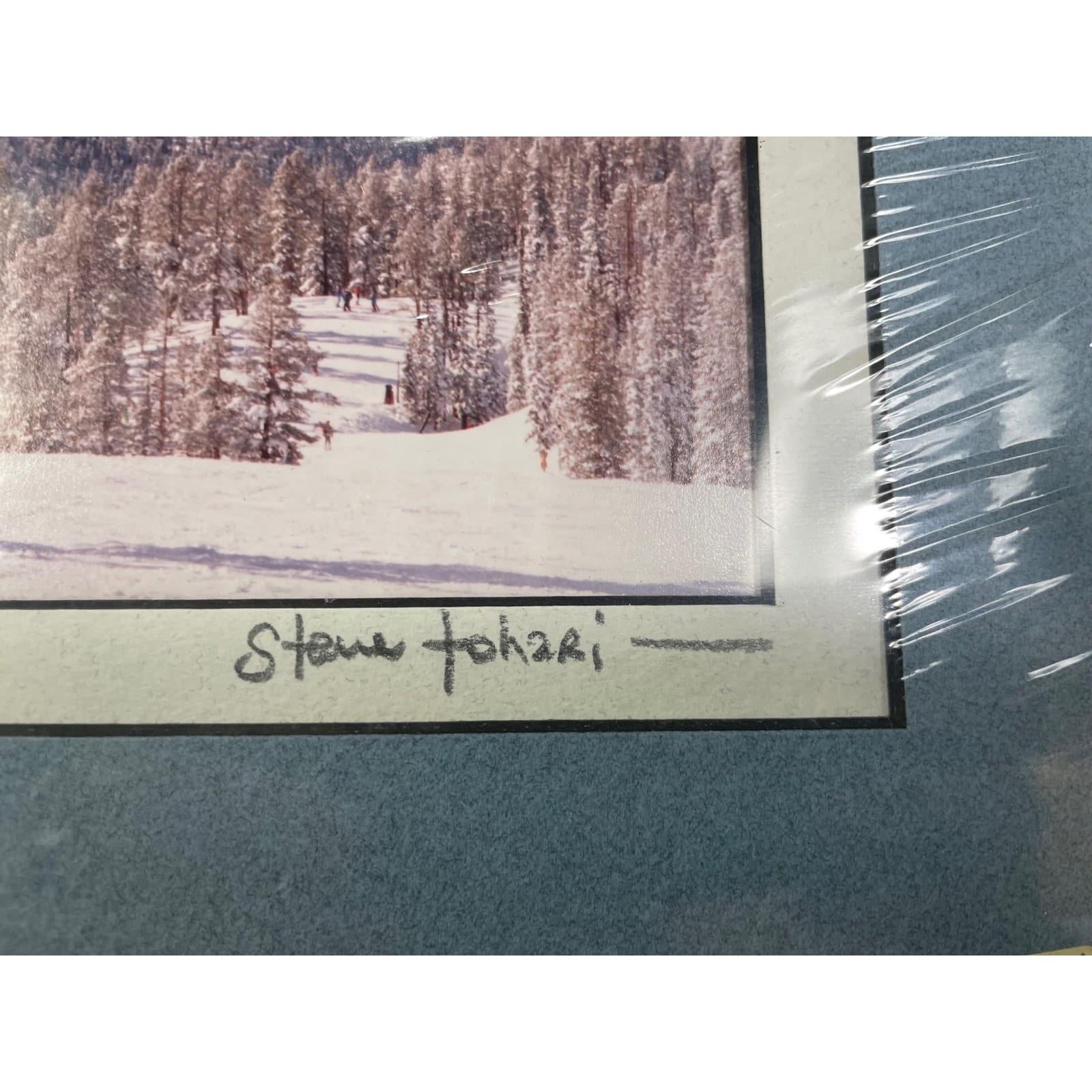 Steve Tohari Signed Photo View from Keystone Colorado Mountain Landscape 11x14 - Thumbnail 4