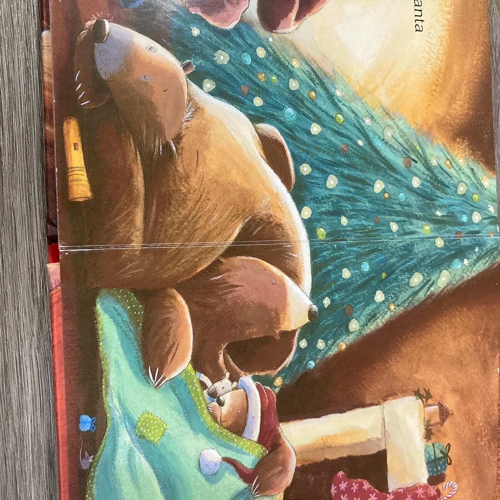 I've Seen Santa! by David Bedford, Illustrated by Tim Warnes Children's Book - Thumbnail 8
