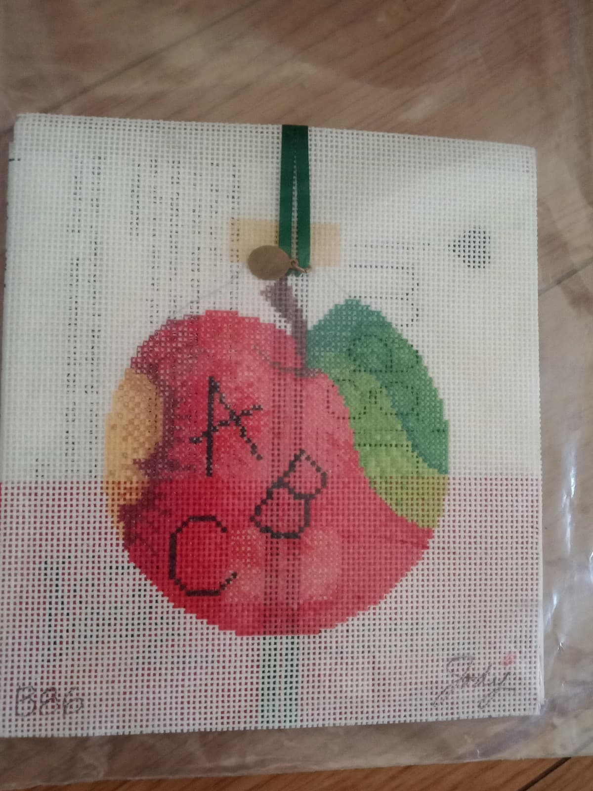 Judy stitch guide and needlepoint canvas