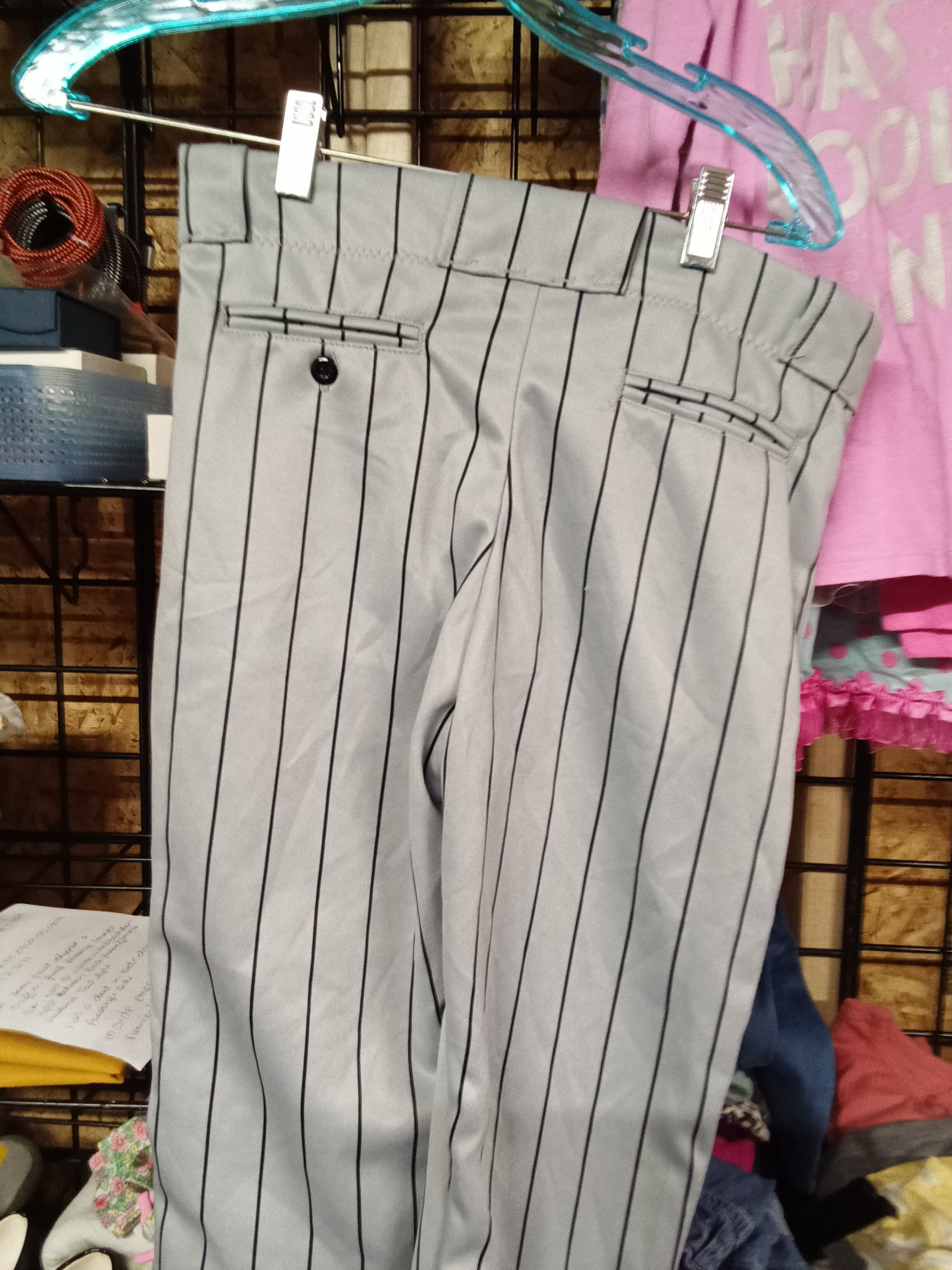 Bike Pinstripe Baseball Pants - Thumbnail 2