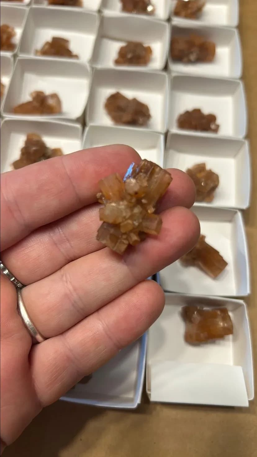 Sm Aragonite Specimens - Thumbnail 2