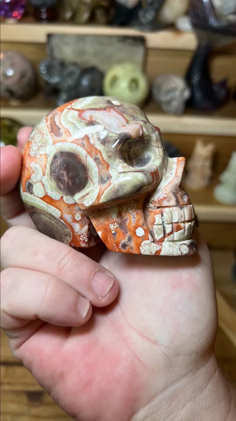 Money Agate Skull #1 - Thumbnail 2