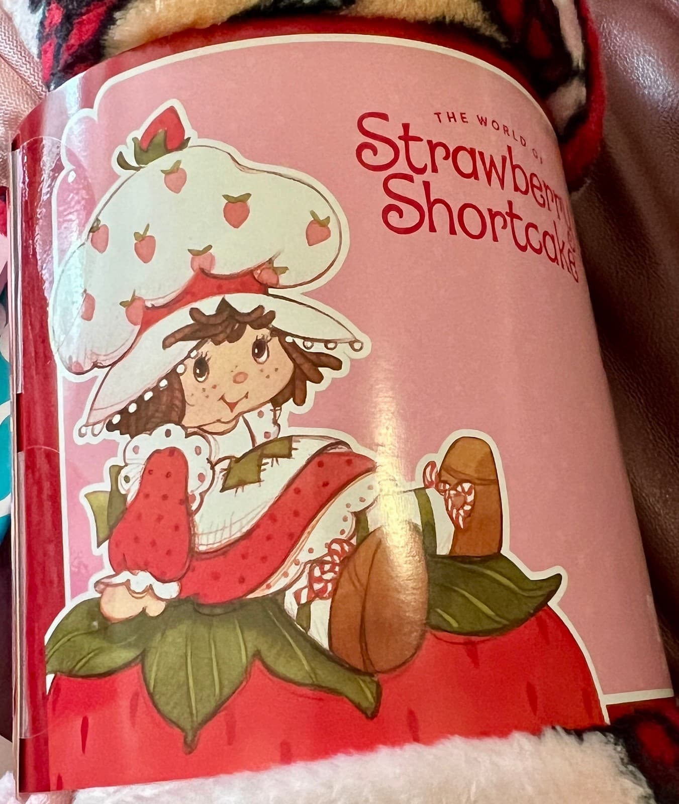 Strawberry Shortcake NEW Gift Bundle Throw Blanket With ZAK! Water Bottle - Thumbnail 6