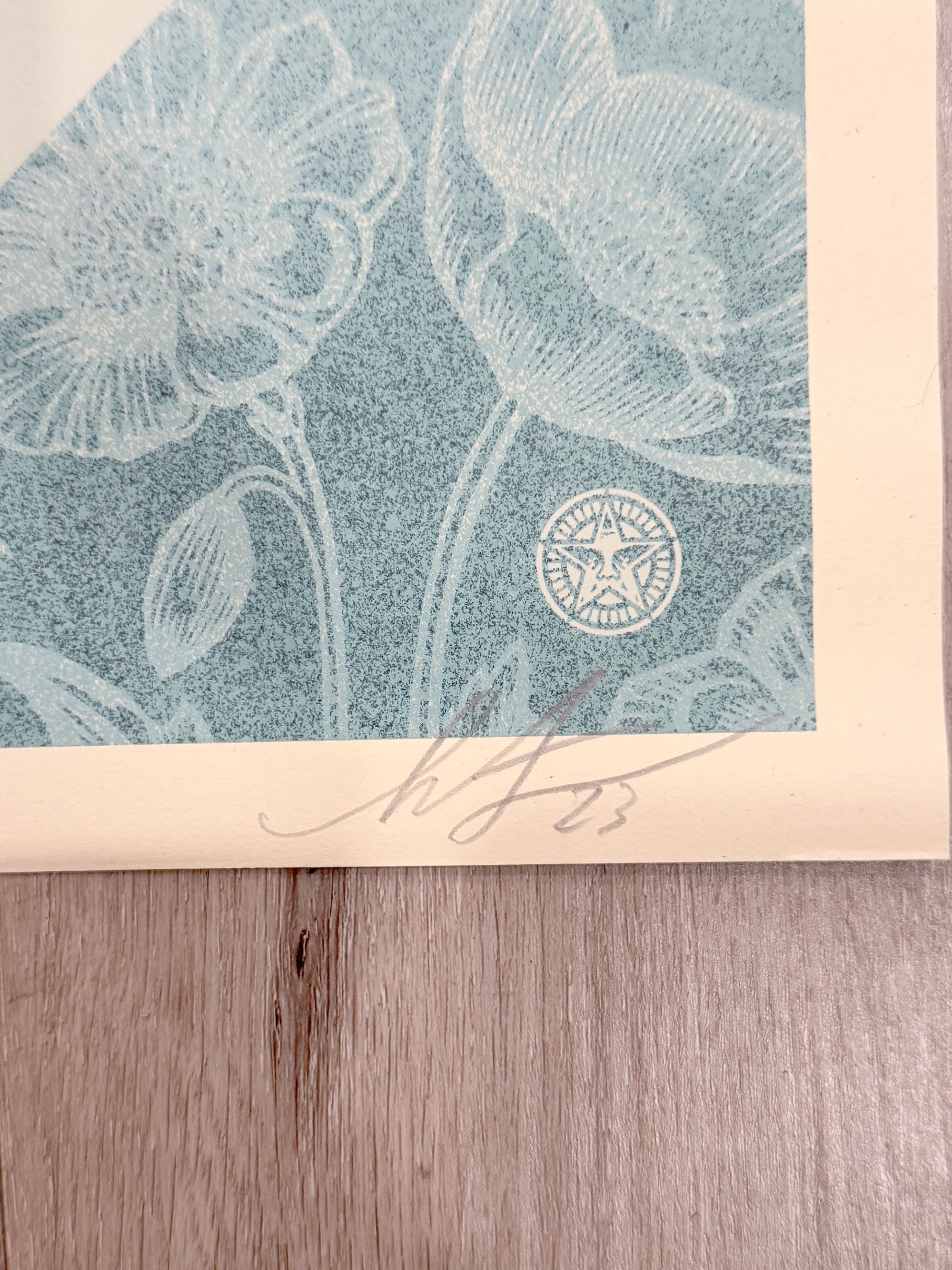 Shepard Fairey (OBEY) "The Angles of Sedation and Destruction" Signed Screen Print - Thumbnail 3