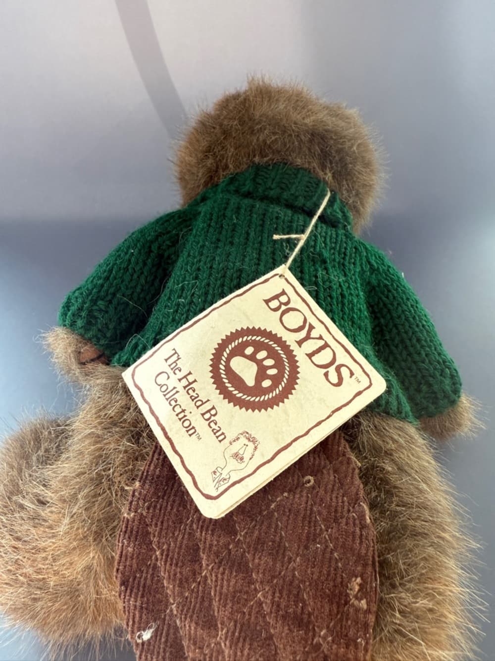 Delta Dental Boyd’s Beaver Plush with Green Sweater - Thumbnail 6