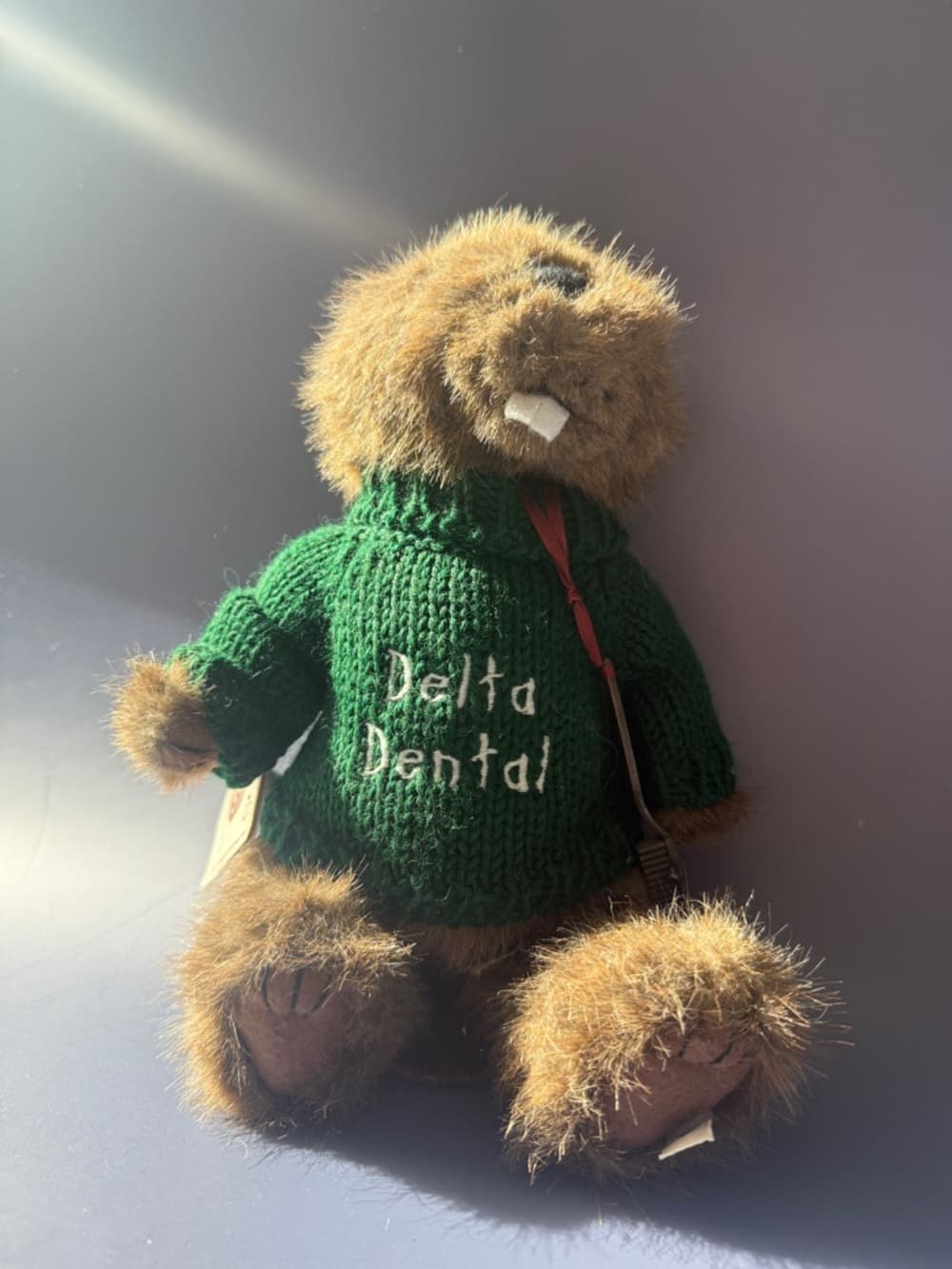 Delta Dental Boyd’s Beaver Plush with Green Sweater - Thumbnail 2
