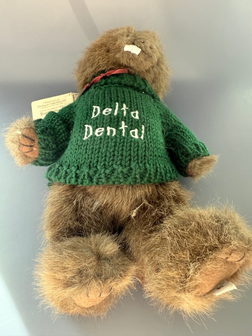 Delta Dental Boyd’s Beaver Plush with Green Sweater - Thumbnail 9