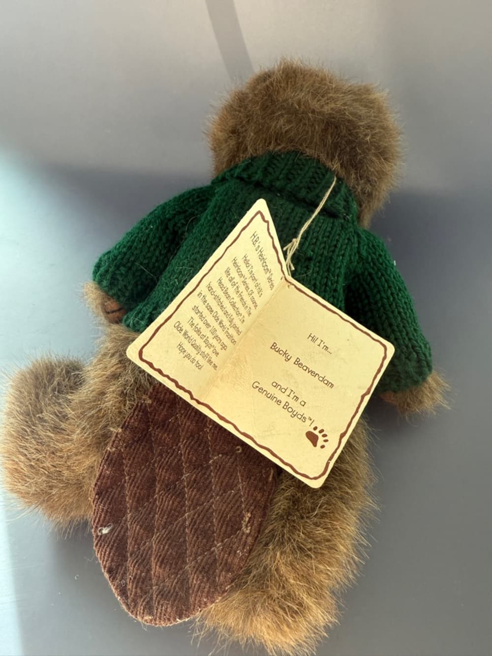 Delta Dental Boyd’s Beaver Plush with Green Sweater - Thumbnail 8