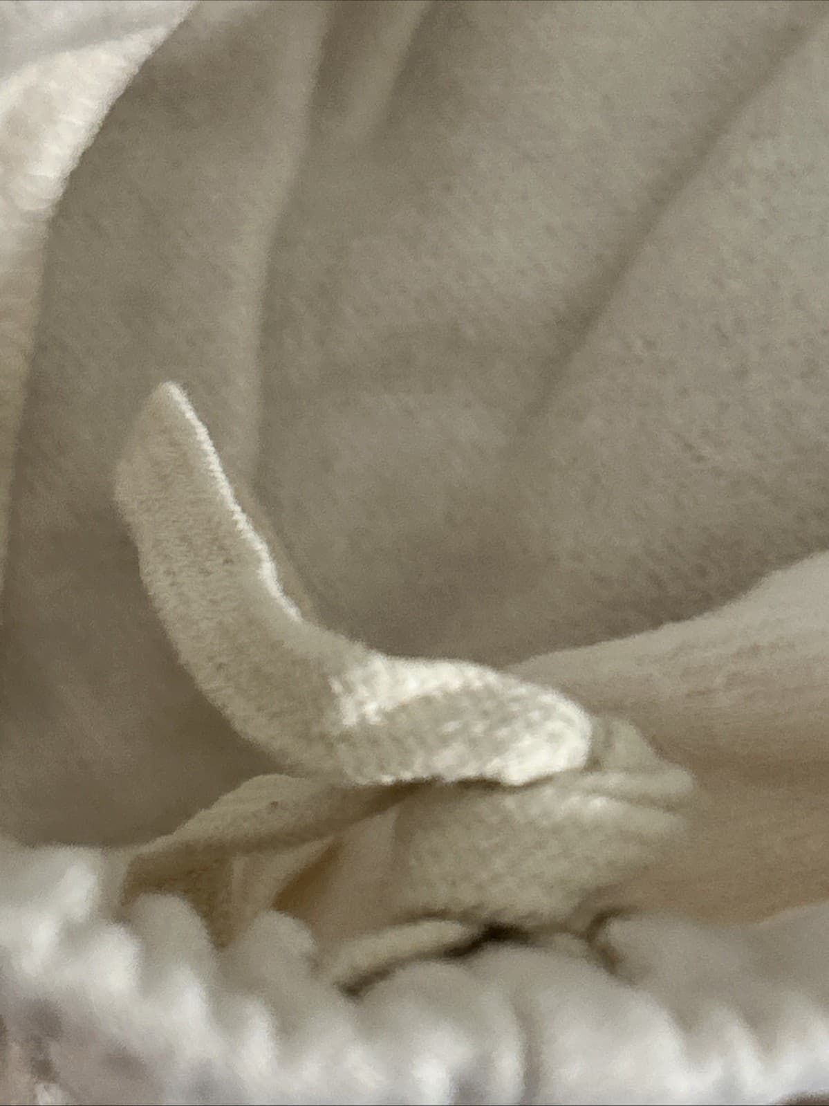 Women’s Light Beige Butterfly 1X Sweat Pants NWT Wild Fable - Thumbnail 8