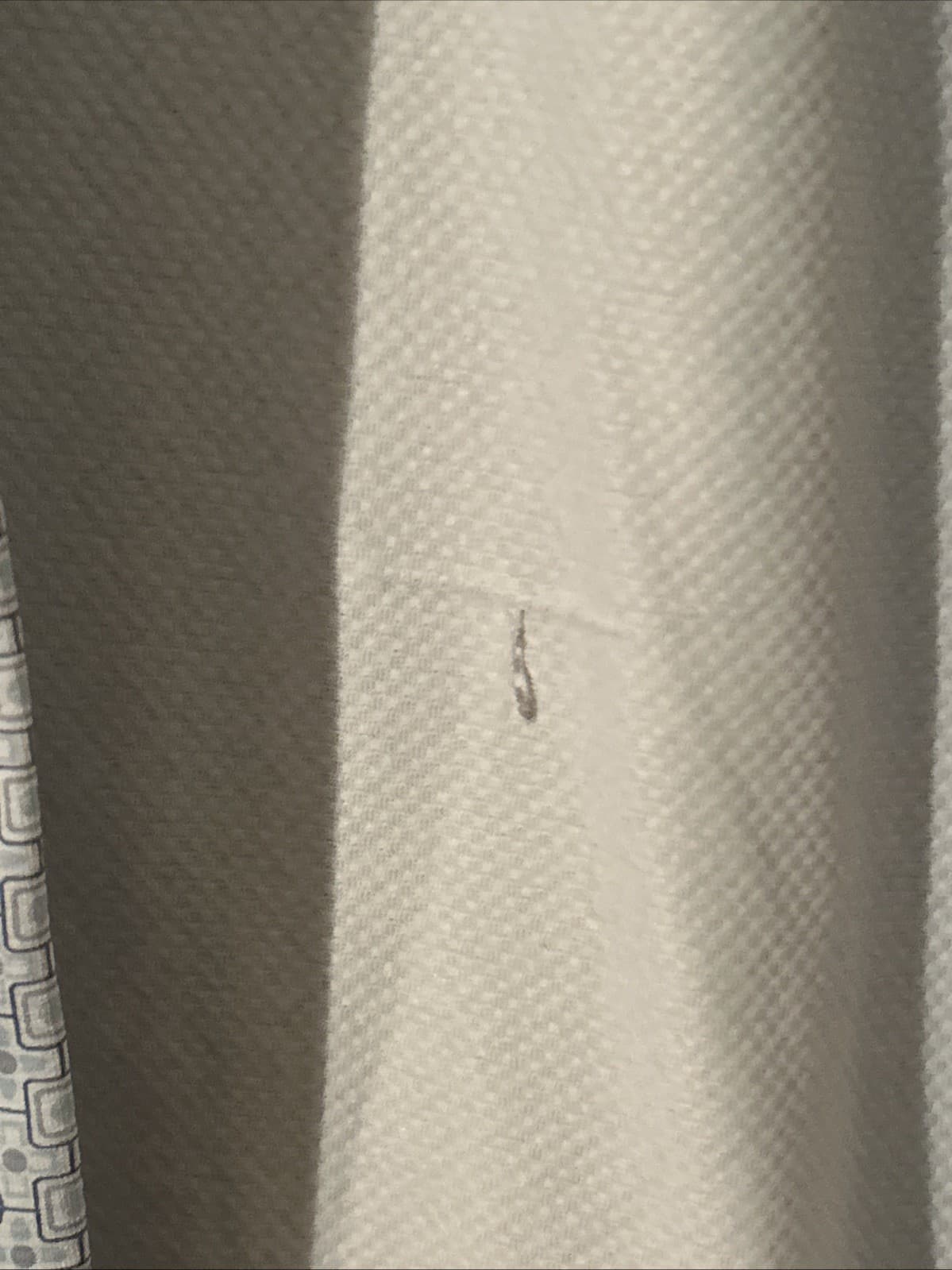 Mens Button Down Shirt Jachs New York - Thumbnail 3