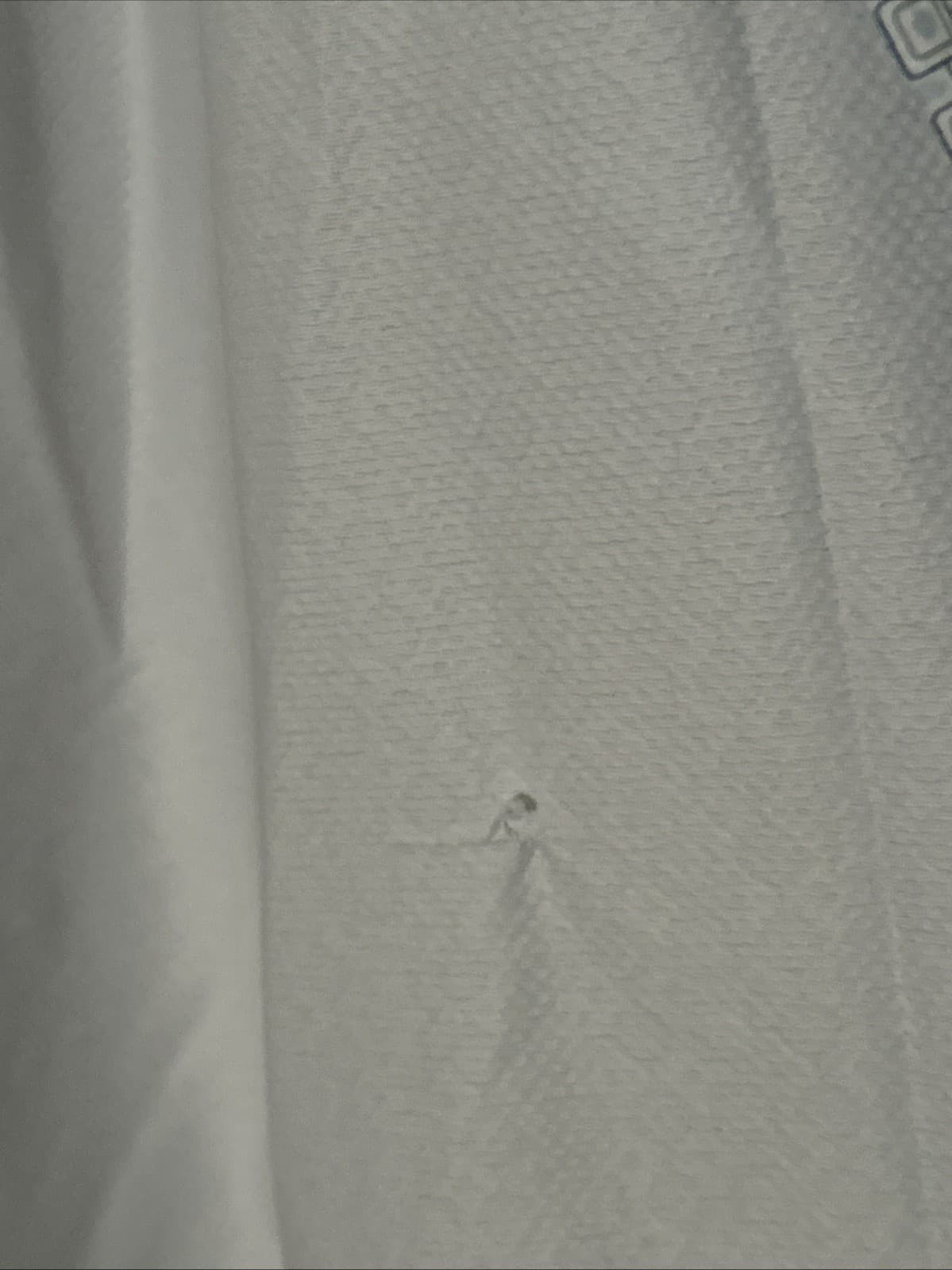 Mens Button Down Shirt Jachs New York - Thumbnail 5