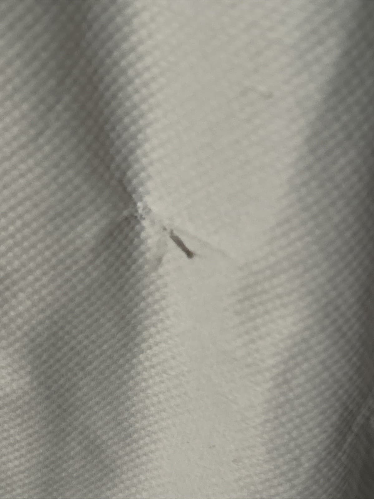 Mens Button Down Shirt Jachs New York - Thumbnail 4