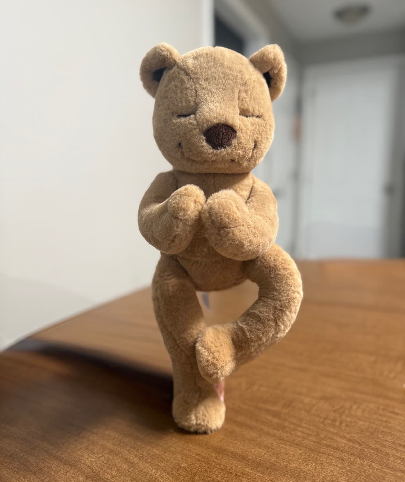 Meddy Teddy Posable Bendable Meditation Plush Yoga Bear Without Tag - Thumbnail 3