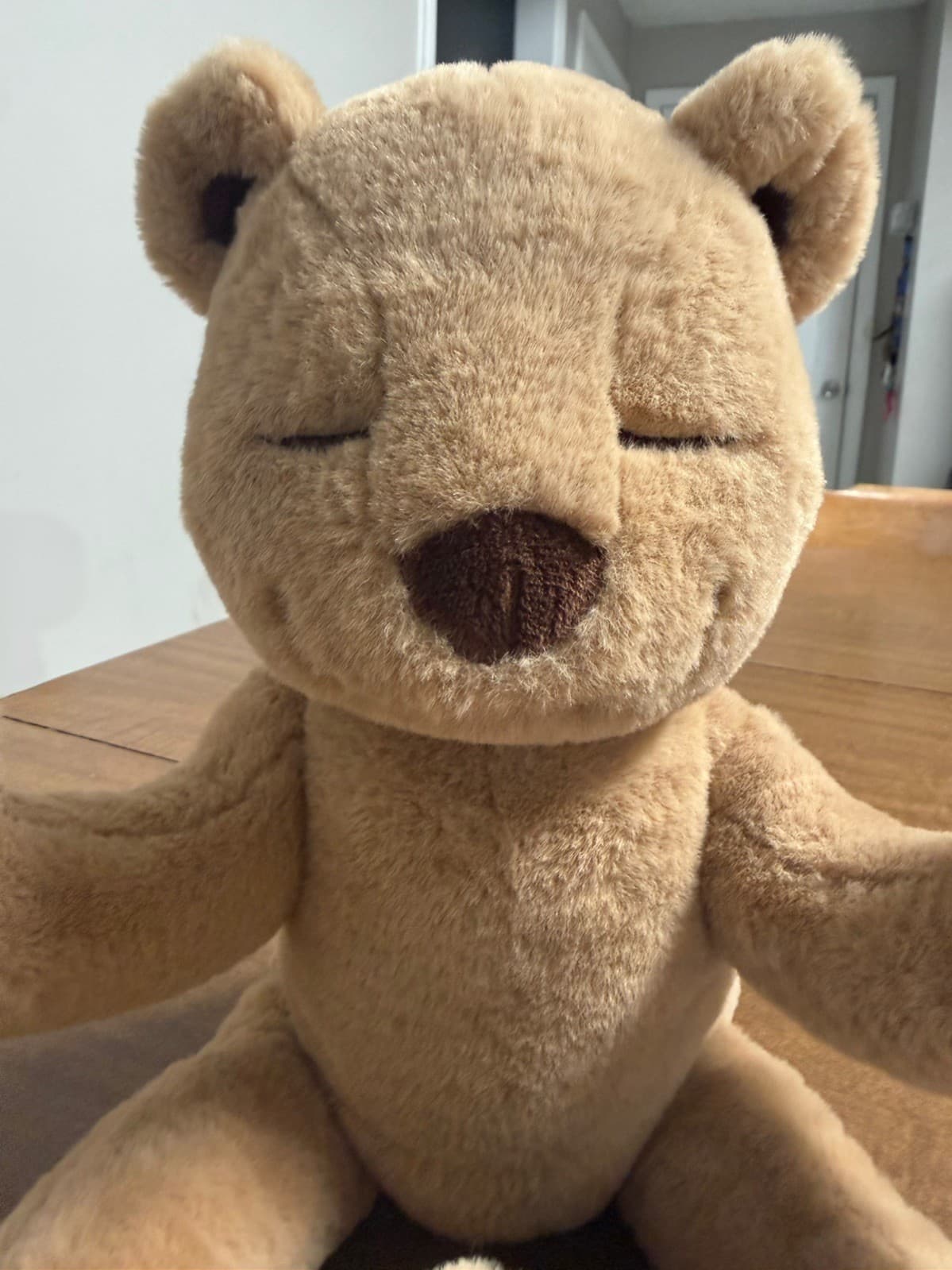 Meddy Teddy Posable Bendable Meditation Plush Yoga Bear Without Tag - Thumbnail 8