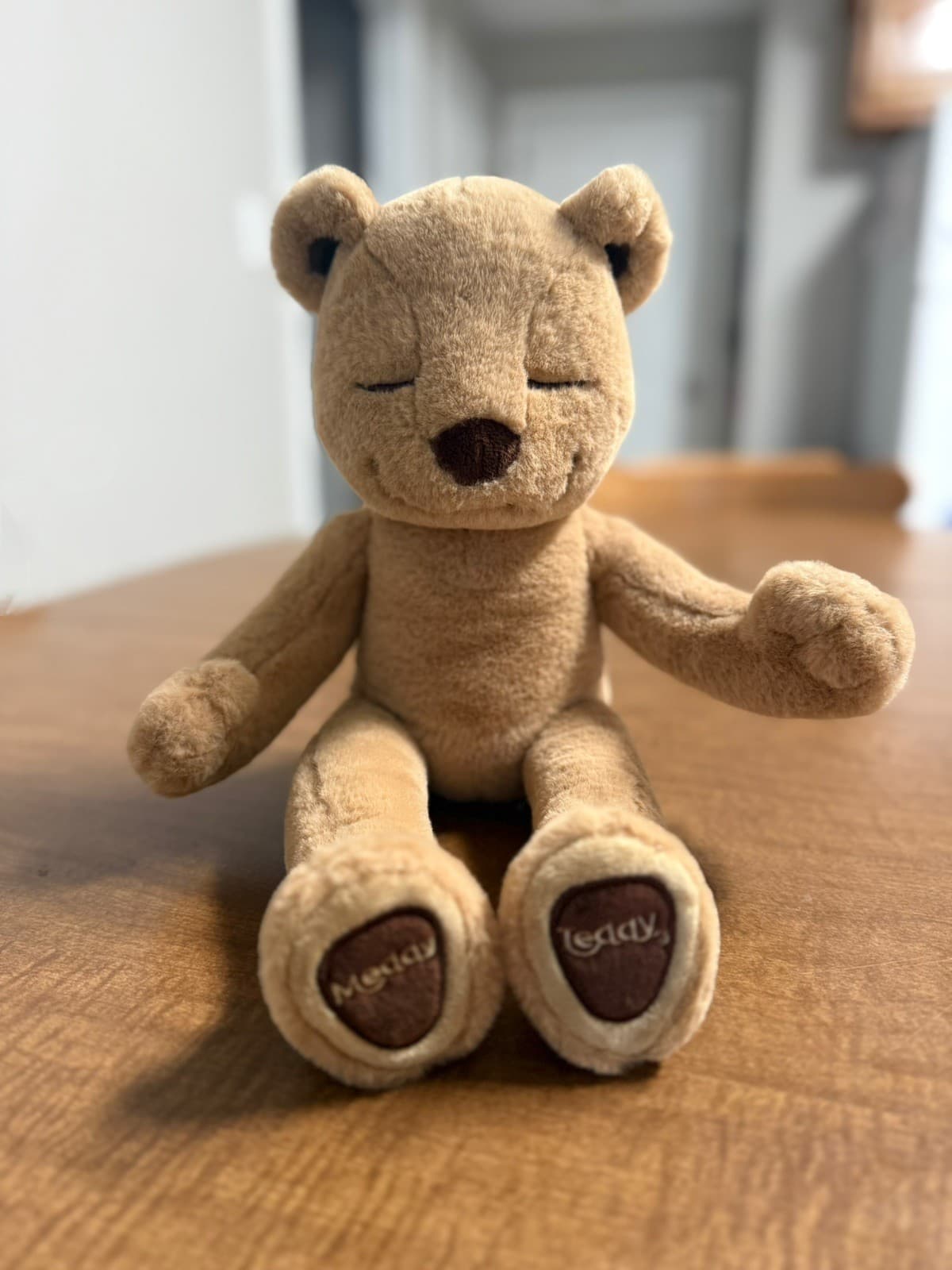 Meddy Teddy Posable Bendable Meditation Plush Yoga Bear Without Tag - Thumbnail 4
