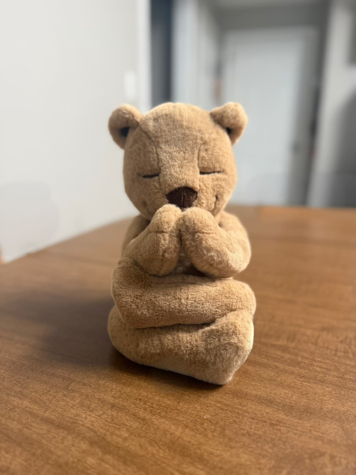 Meddy Teddy Posable Bendable Meditation Plush Yoga Bear Without Tag - Thumbnail 10