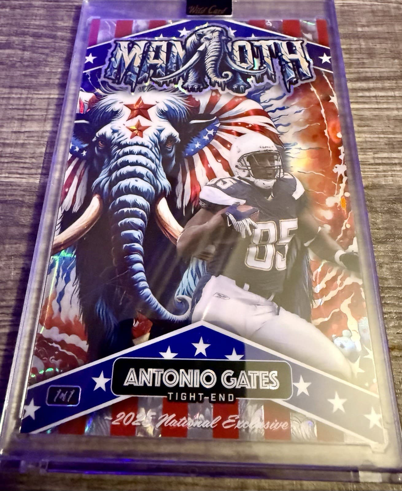 2025 Wild Card Mammoth Antonio Gates 1/1 National Exclusive #DMMMA10-AG