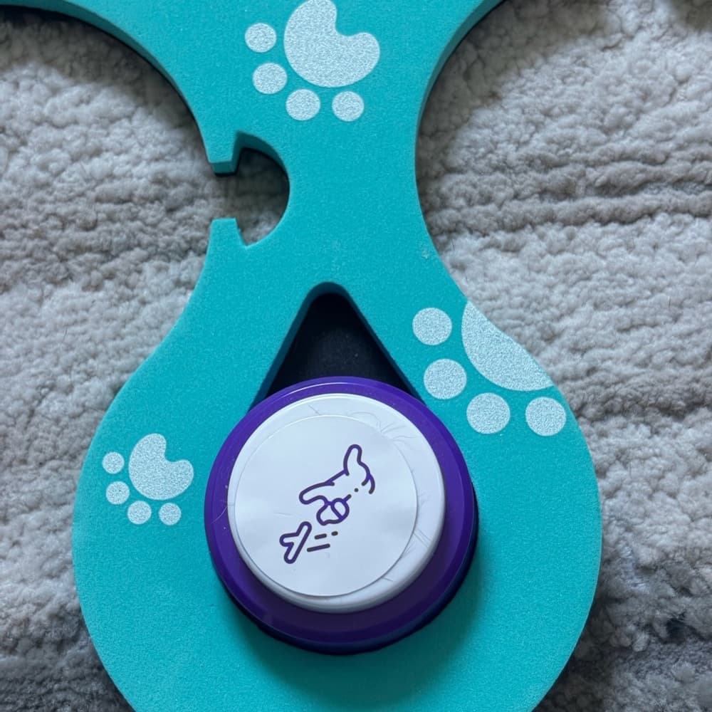 Dog Talking Button Set with Non-Slip Pad (Green) - 4X - Thumbnail 2