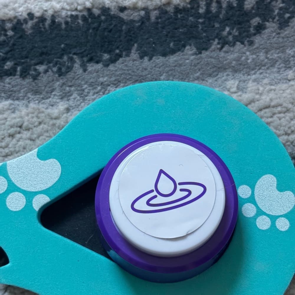 Dog Talking Button Set with Non-Slip Pad (Green) - 4X - Thumbnail 3